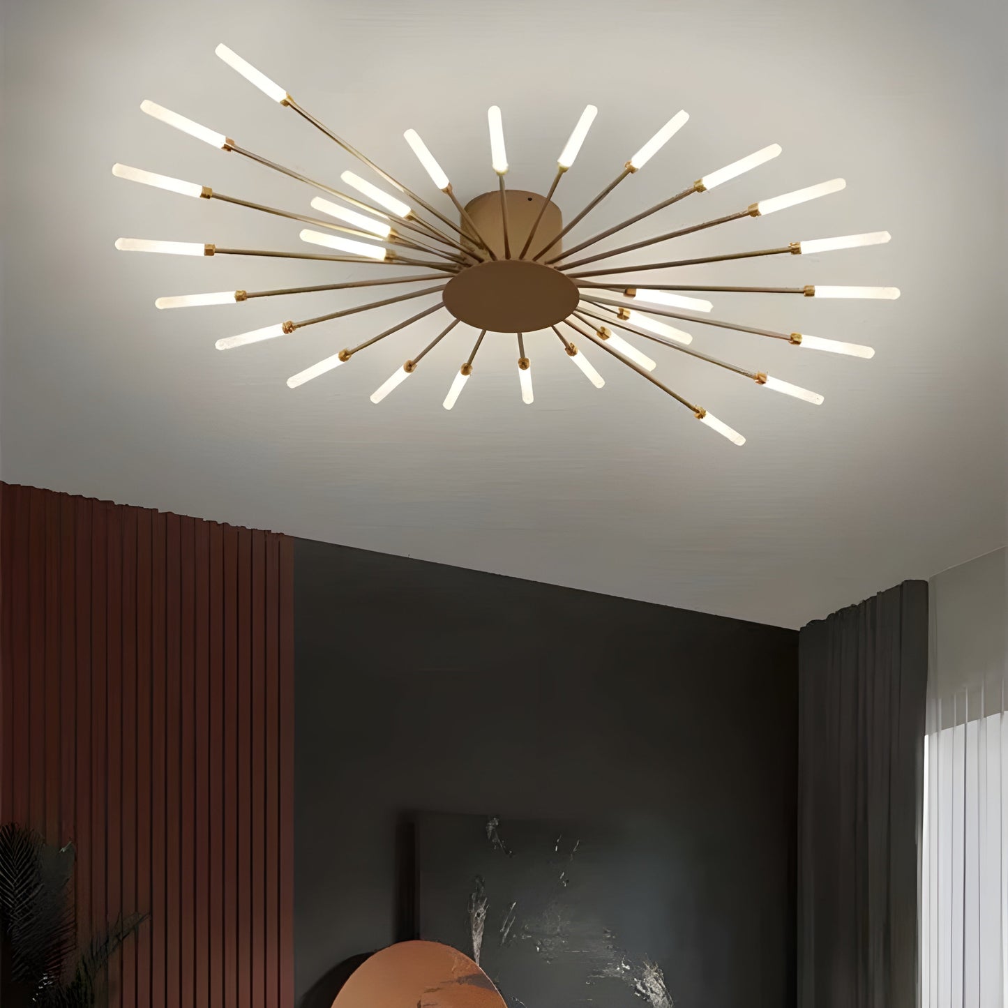 Contemporary LED Ceiling Lamp