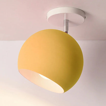 Stylish LED Ceiling Fixture