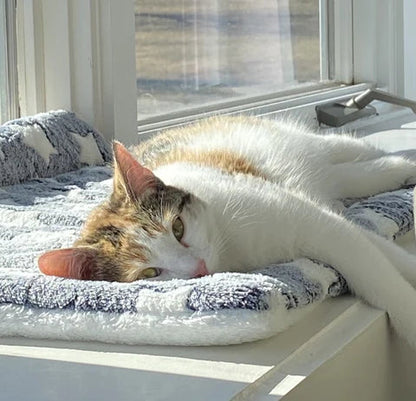 Soft Machine Washable Pet Throw Blanket