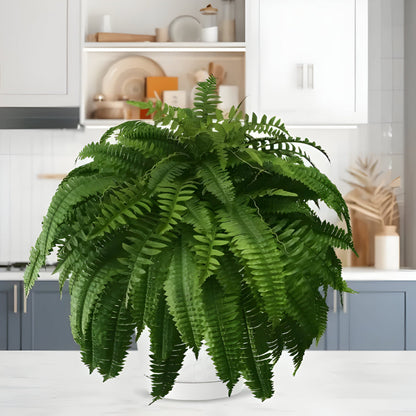 Realistic Green Boston Fern Indoor Plant
