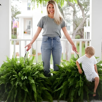 Realistic Green Boston Fern Indoor Plant
