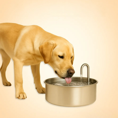 Easy Clean Stainless Pet Drinking Fountain - Cofik