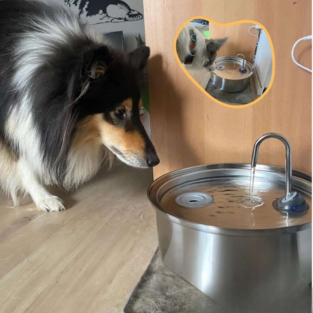Easy Clean Stainless Steel Pet Water Dispenser Bowl