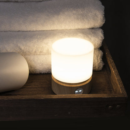 Modern Compact Rechargeable LED Bedside Lamp