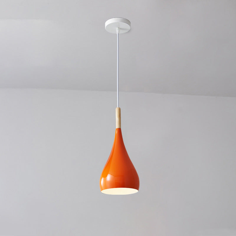 Rustic Metal Glass Pumpkin Shaped Pendant Light