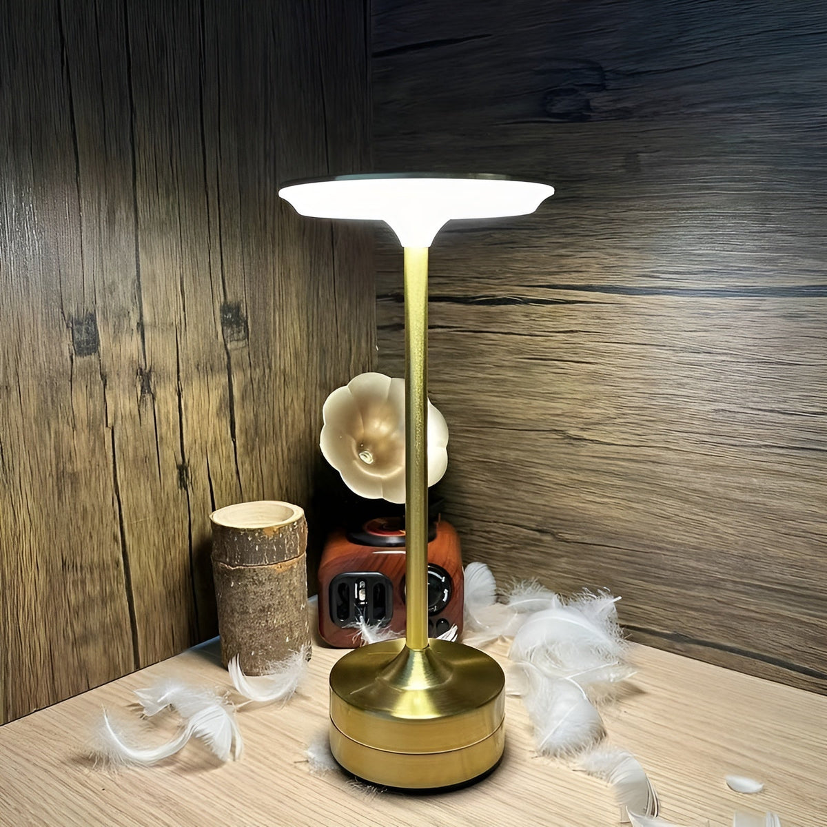 Sleek Portable LED Desk Lamp - Cofik