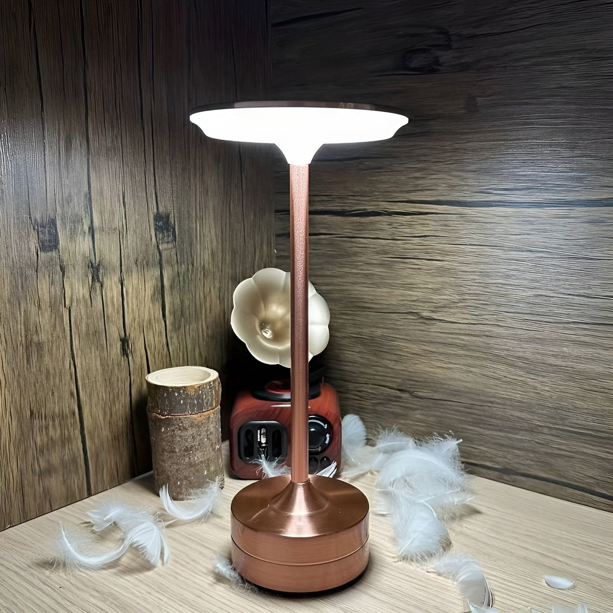 Sleek Portable LED Desk Lamp