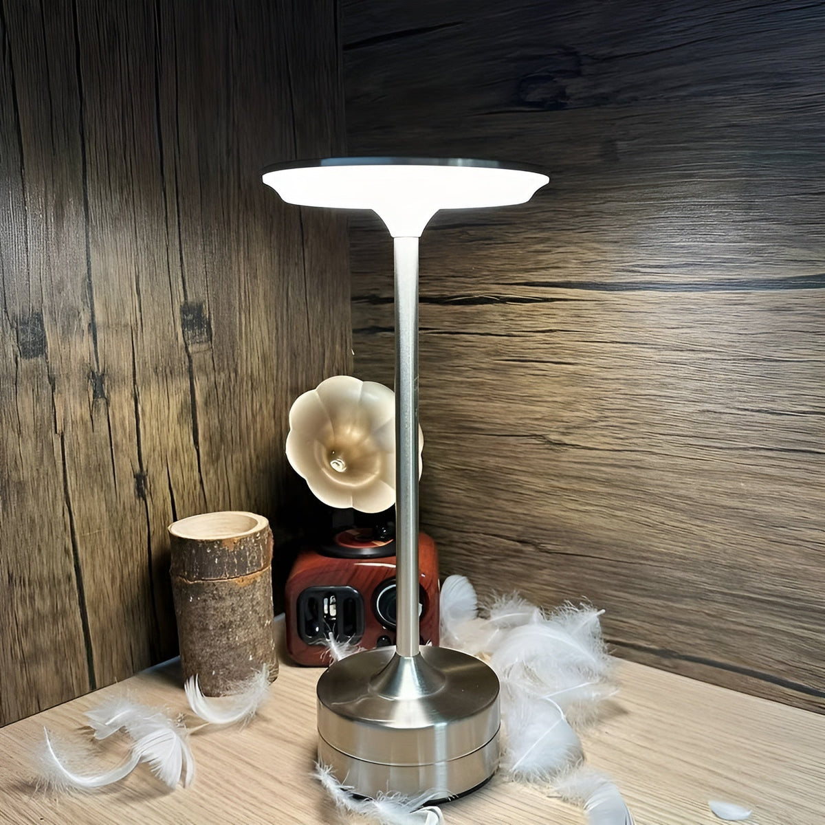 Sleek Portable LED Desk Lamp