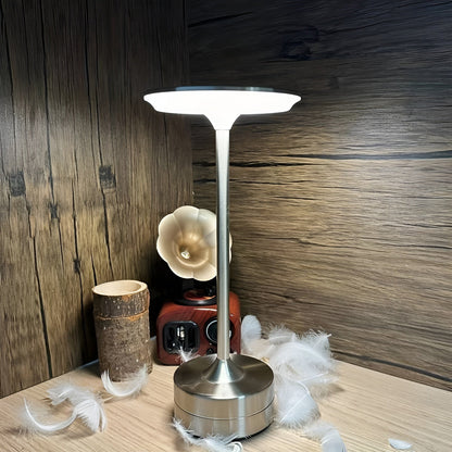 Sleek Portable LED Desk Lamp
