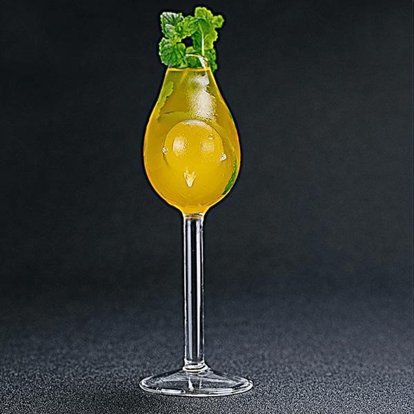 Fun Animal Martini Glass