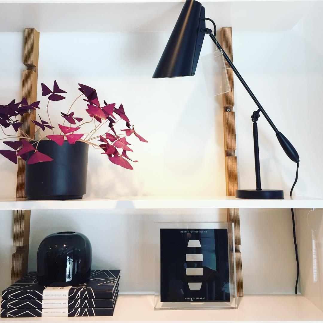 Small Simple Desk Lamp
