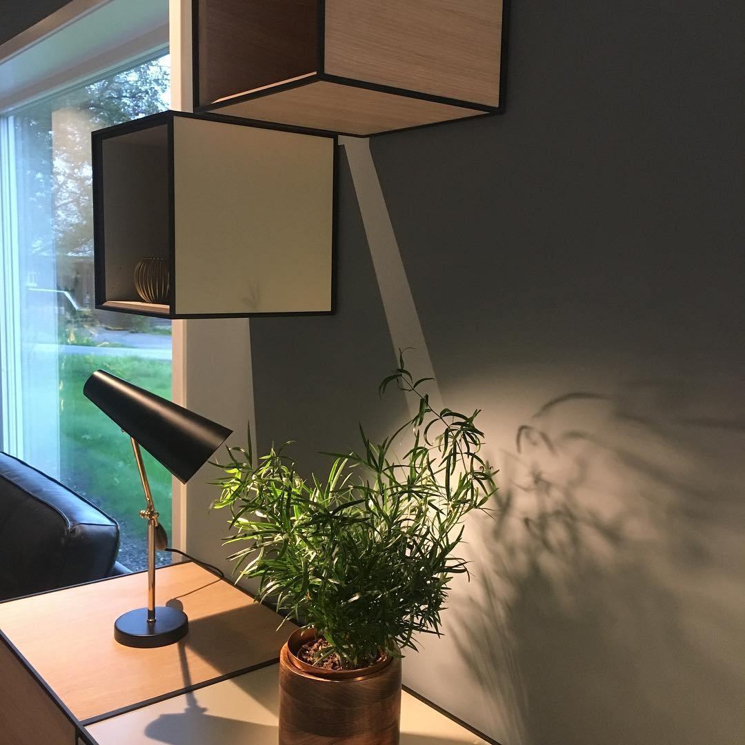 Small Simple Desk Lamp