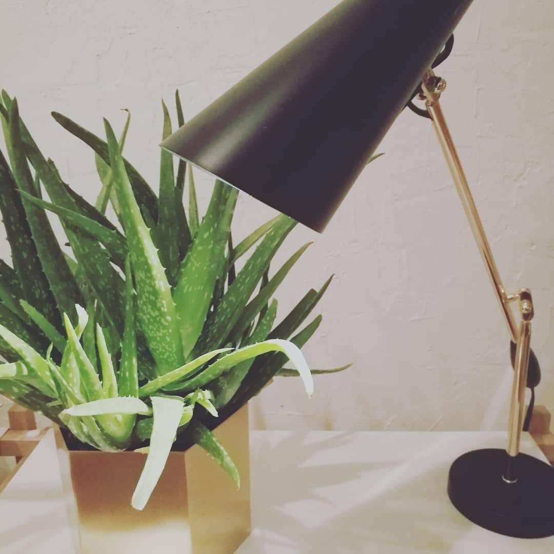 Small Simple Desk Lamp