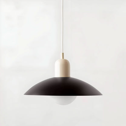 Industrial Metal Pendant Lighting Fixture