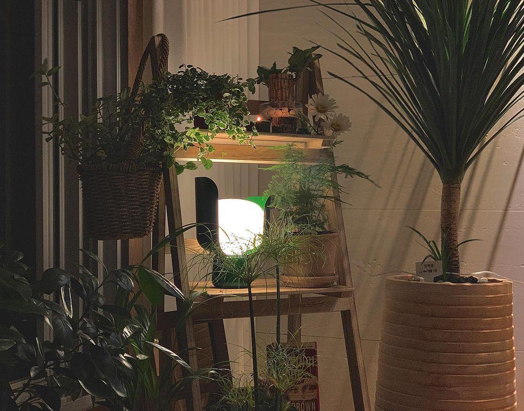 Elegant Glass Table Light Lamp