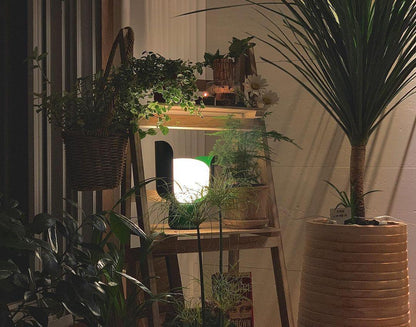 Elegant Glass Table Light Lamp