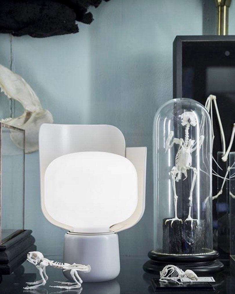 Elegant Glass Table Light Lamp