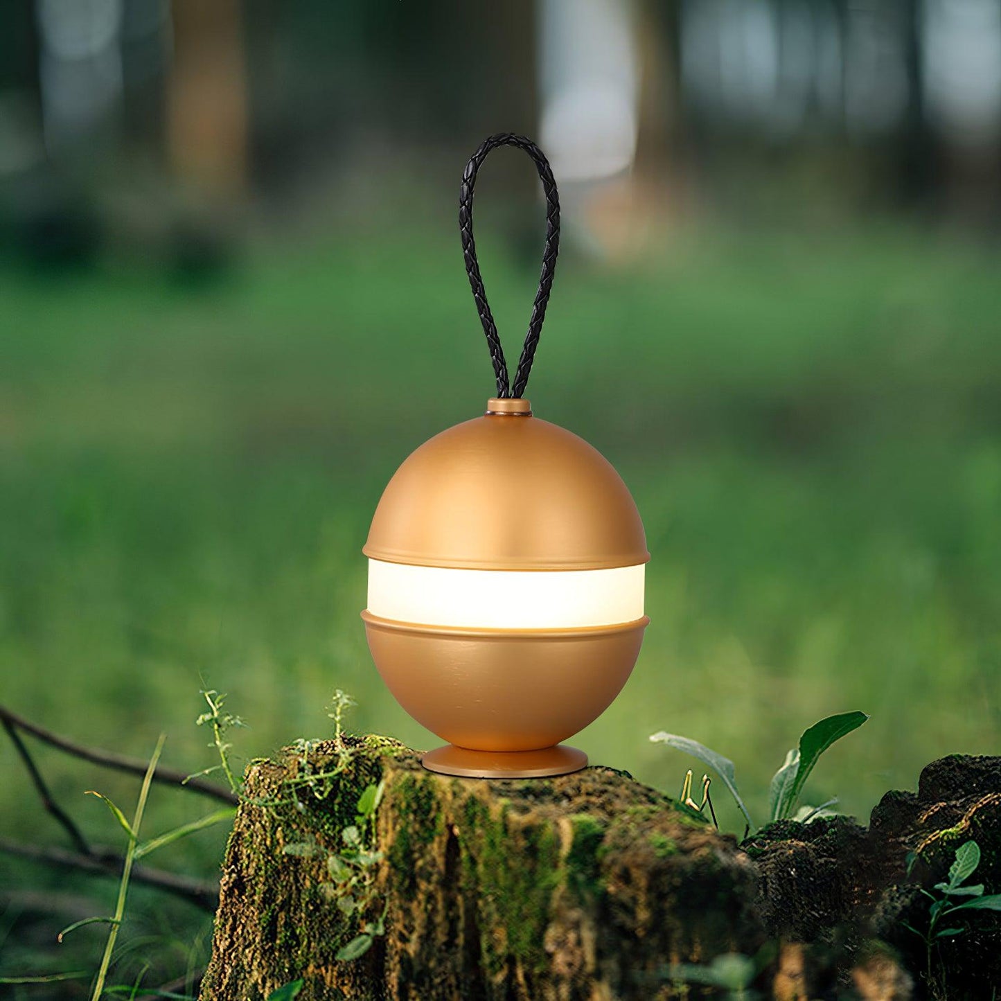 Small Desk Table Light