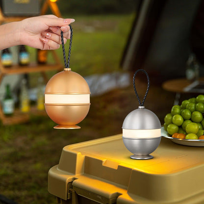 Small Desk Table Light