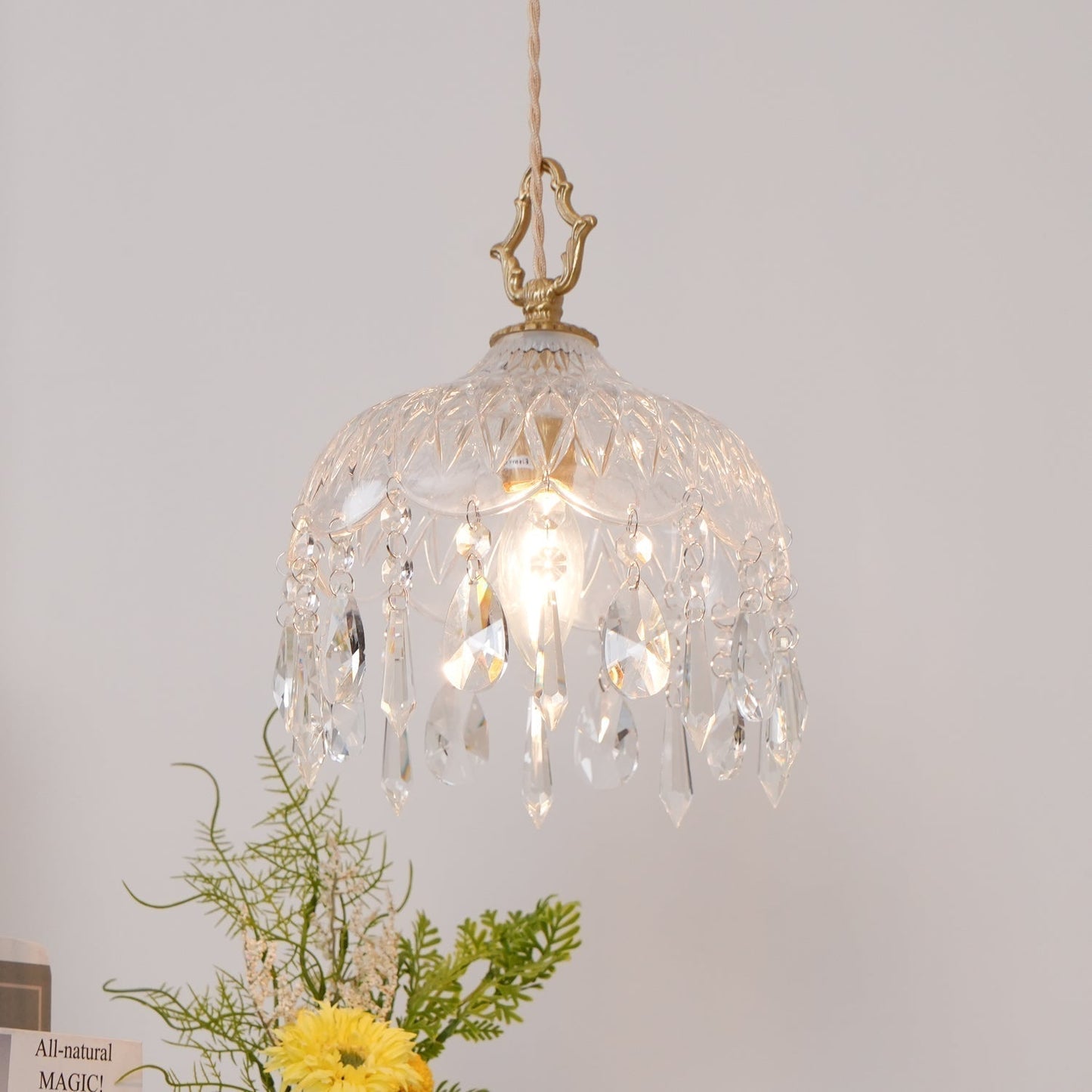 Stylish Glass Pendant Ceiling Lamp