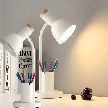 Compact LED Desk Light with Storage