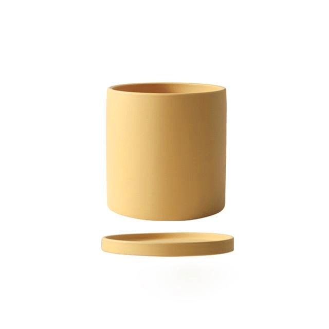 Beautiful Ceramic Planter with Saucer