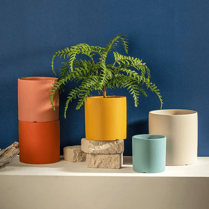 Beautiful Ceramic Planter with Saucer
