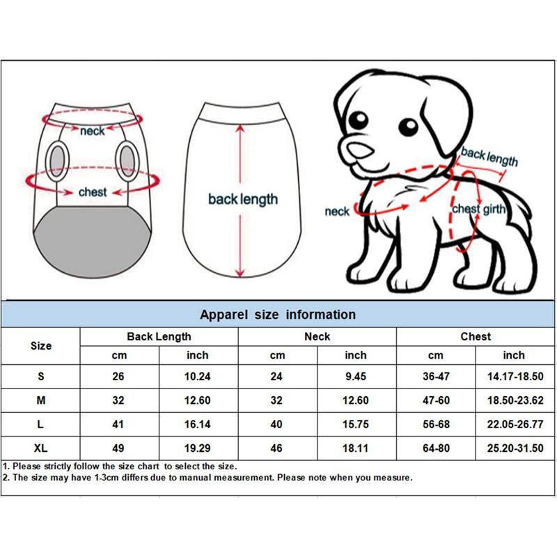 Fun Holiday Pet Outfit