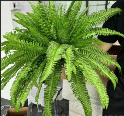 Durable Outdoor Realistic Boston Fern Plant