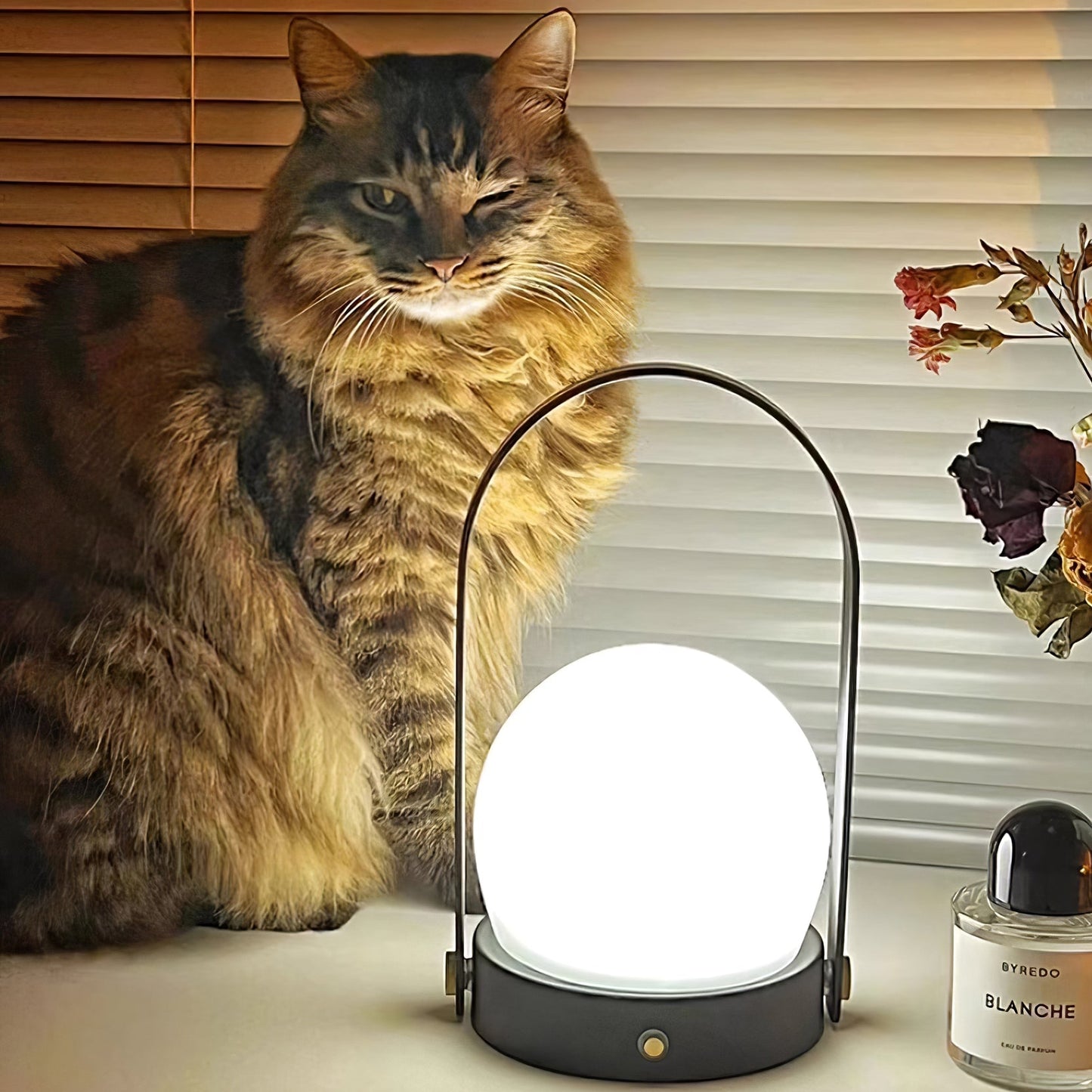 Compact Rechargeable Office Desk Lamp