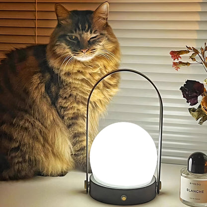 Compact Rechargeable Office Desk Lamp
