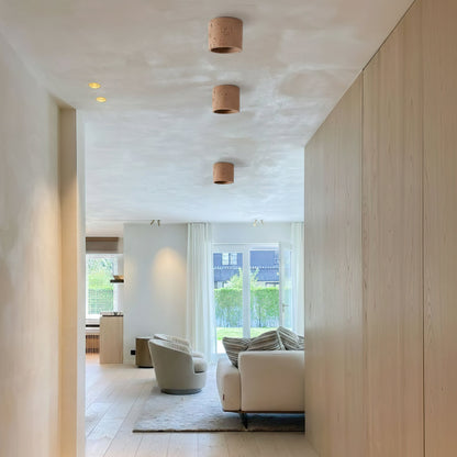 Compact LED Kitchen Ceiling Light Set of 2