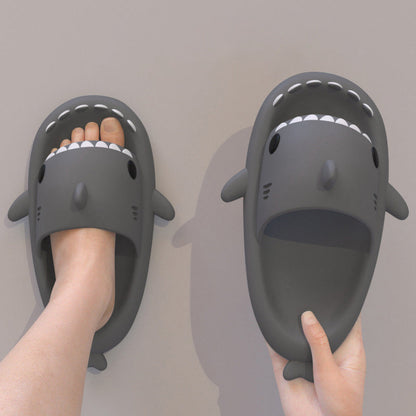 Fun Shark Water Slides