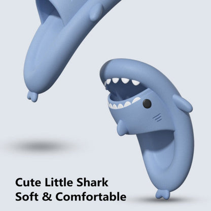 Fun Shark Water Slides