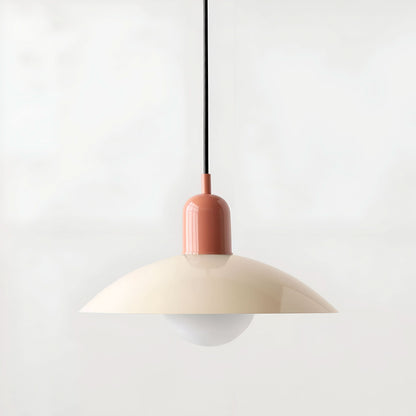 Industrial Metal Pendant Lighting Fixture