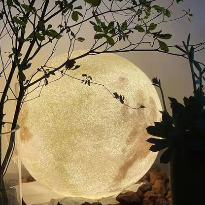 Unique Globe Pendant Floor Lamp