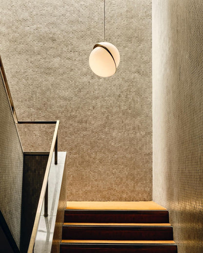 Elegant Home Pendant Light