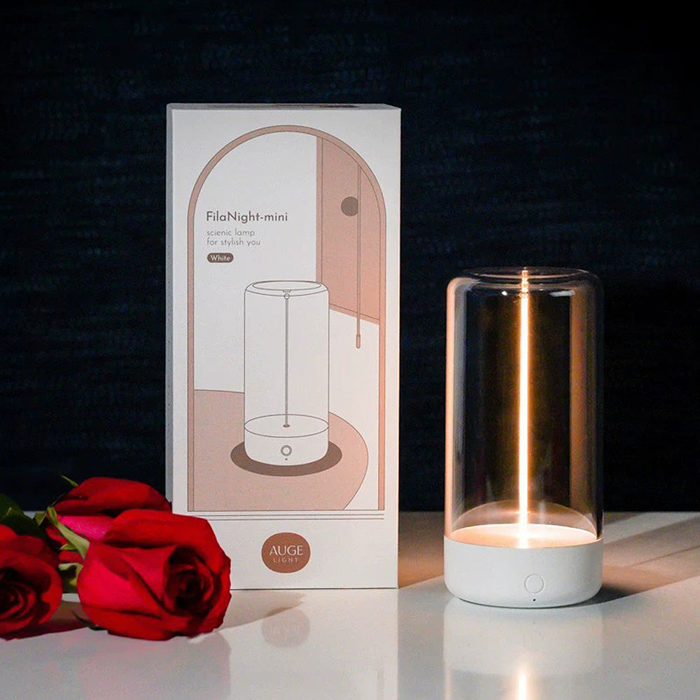 Portable Rechargeable Wireless Desk Lamp