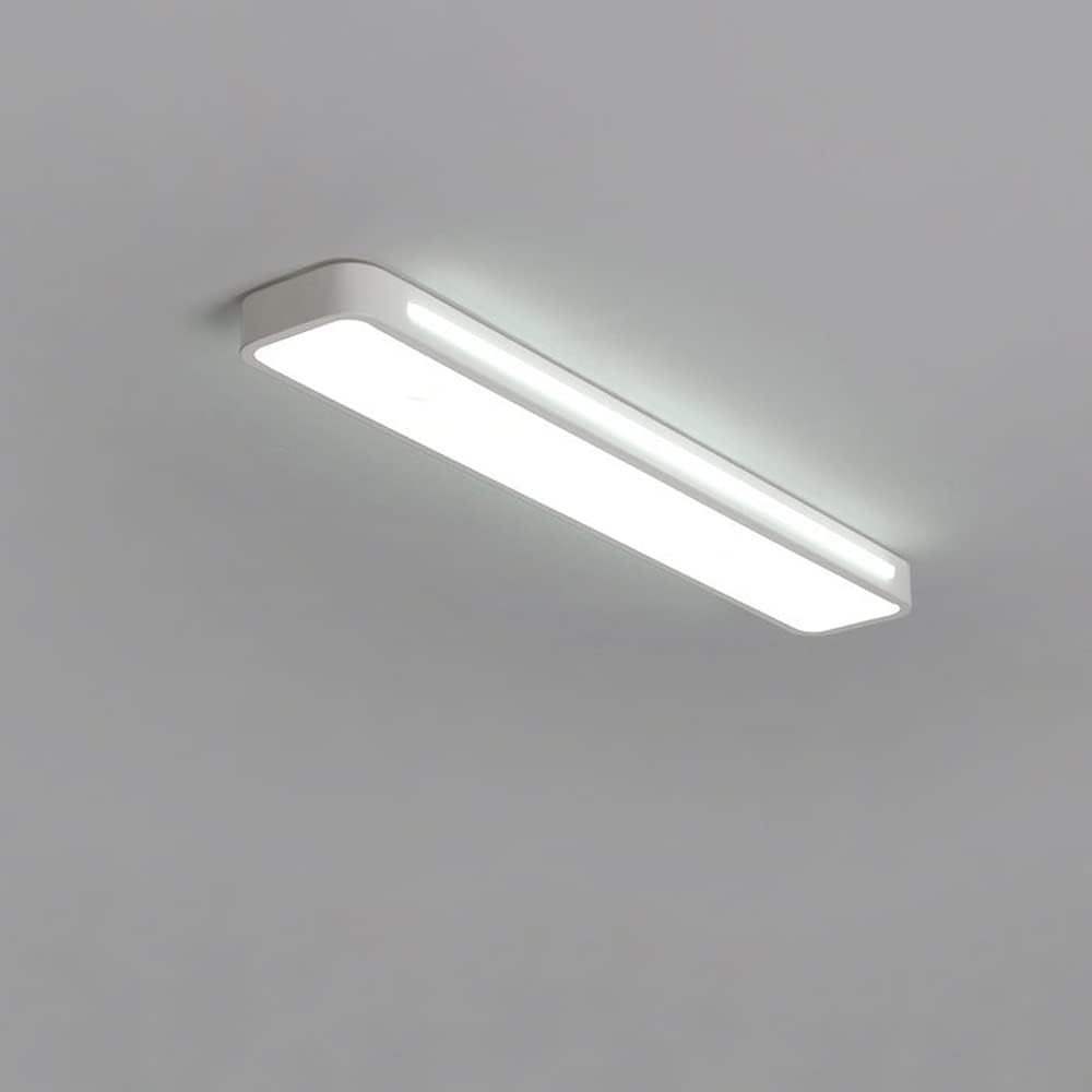 Bright LED Hallway Light Fixture