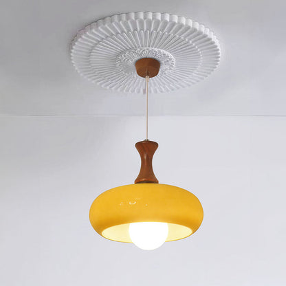Rustic Wood Glass Hanging Lamp - Cofik