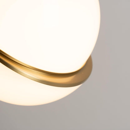 Elegant Home Pendant Light