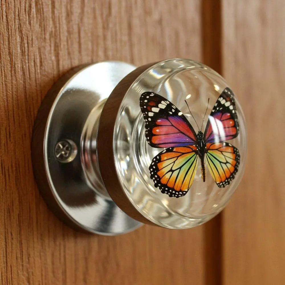 Stylish Clear Door Handle