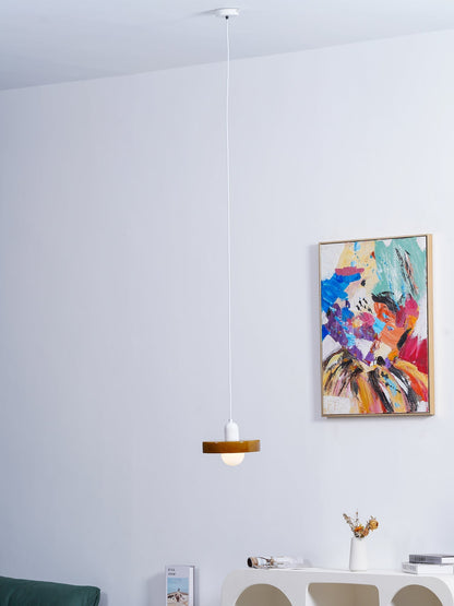 Elegant Glass LED Ceiling Light Fixture
