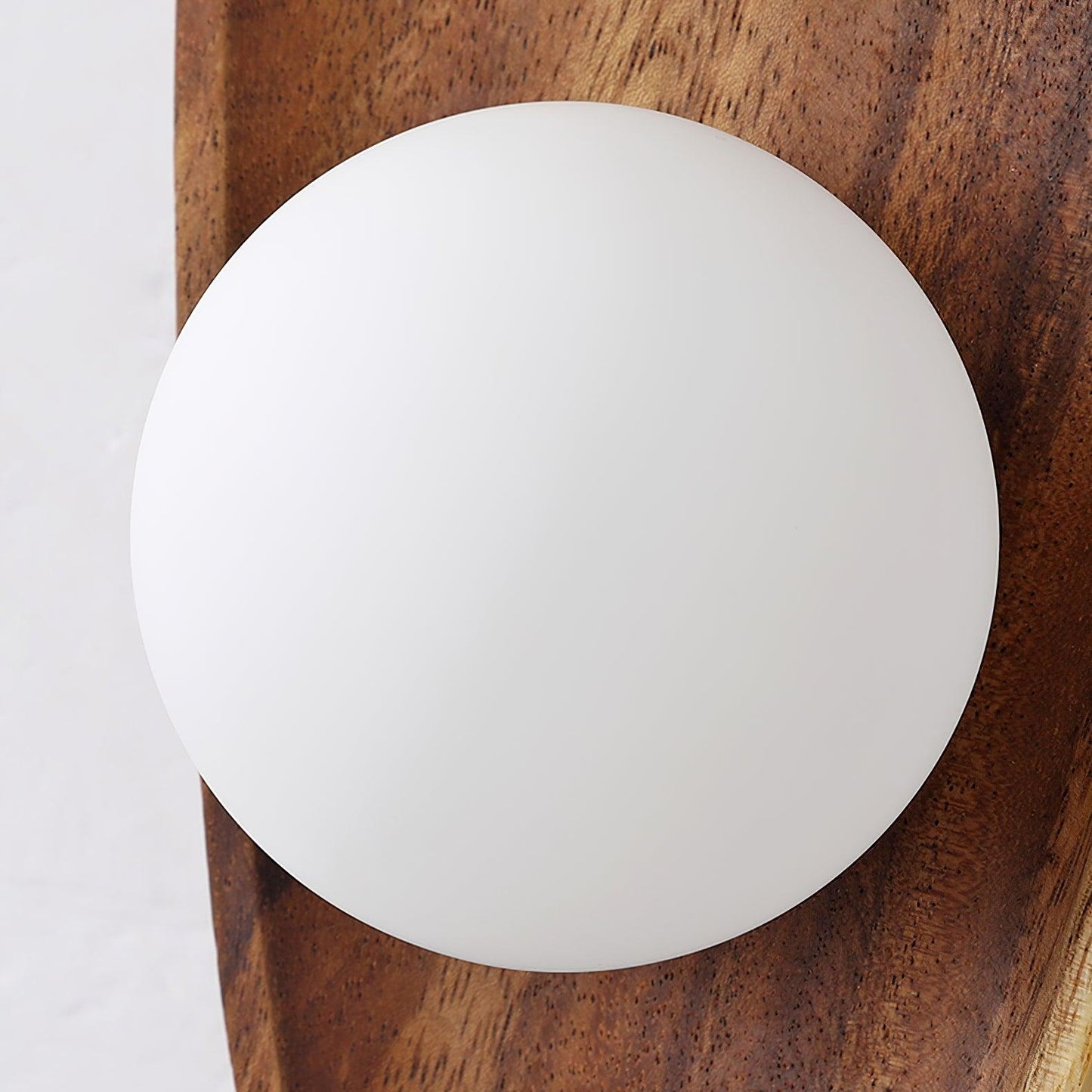Modern Noxord LED Wall Light