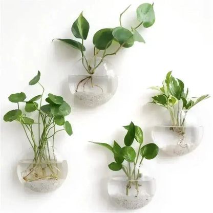 Simple Glass Wall Planter - Modern Flower Vase - Cofik