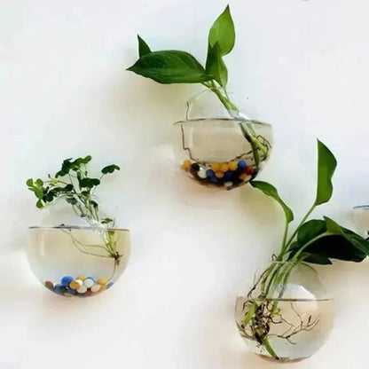 Simple Glass Wall Planter - Modern Flower Vase