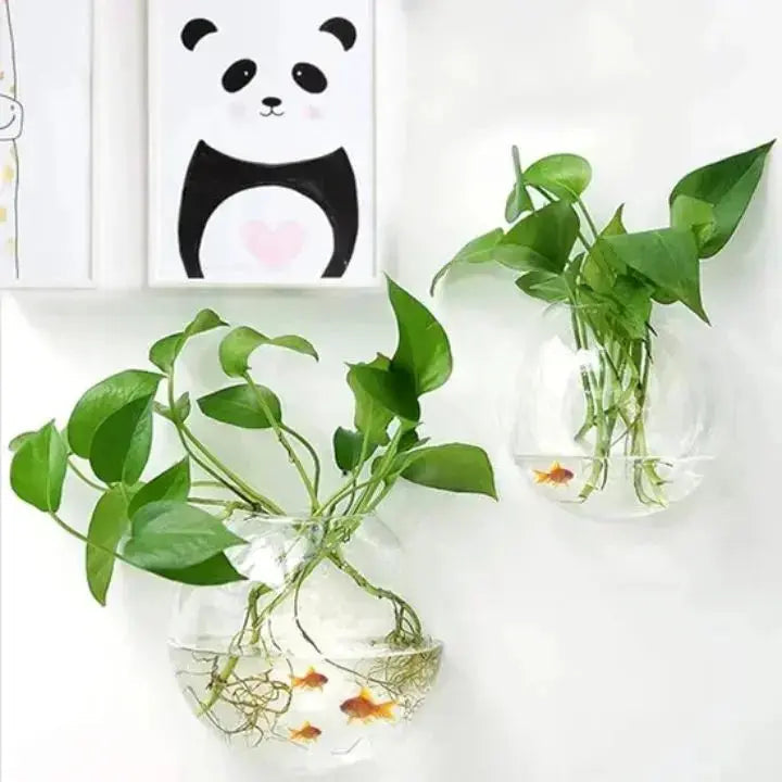 Simple Glass Wall Planter - Modern Flower Vase
