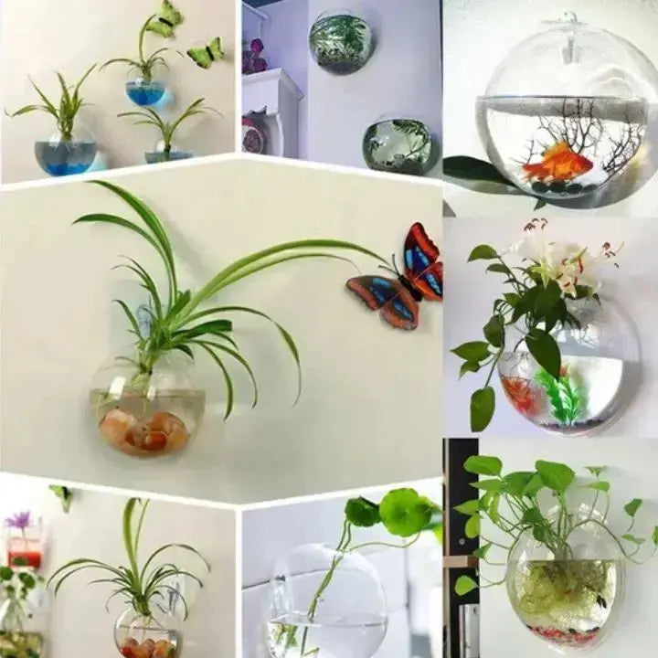 Simple Glass Wall Planter - Modern Flower Vase