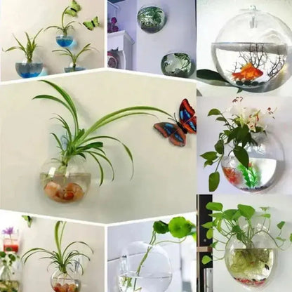 Simple Glass Wall Planter - Modern Flower Vase