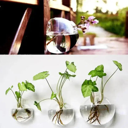 Simple Glass Wall Planter - Modern Flower Vase